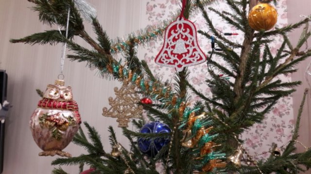 20161229_161241-1024x576.jpg