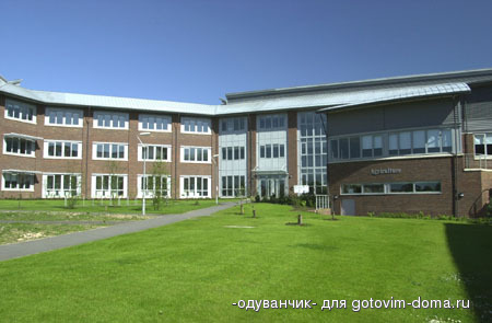9206_img2.jpg