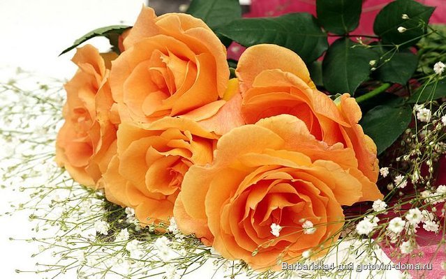1440x900_High_resolution_flower_art_123453.jpg