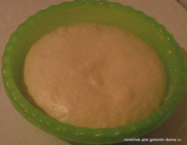 IMGA0177.JPG