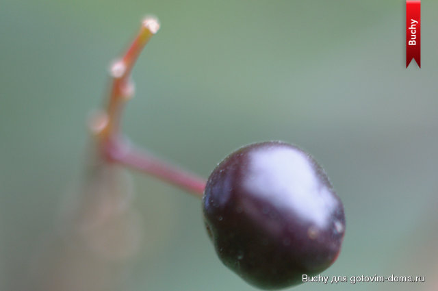 untitled_11.07.13_187.jpg
