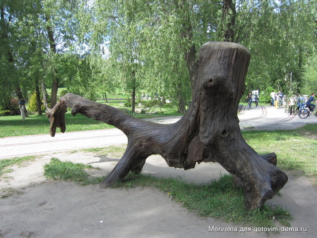 ф19.jpg