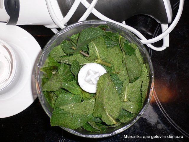 P1030337.JPG