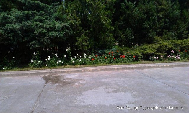 IMAG0964.jpg