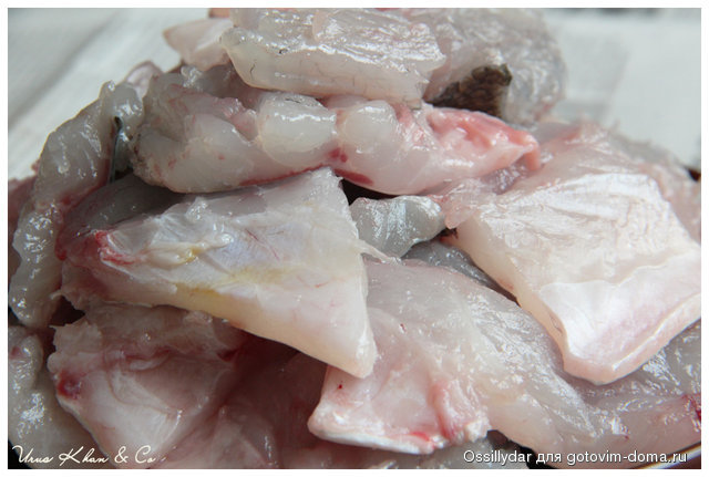 fish-soup_IMG_00008.jpg