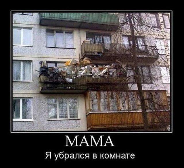 1446222503_demki-4.jpg