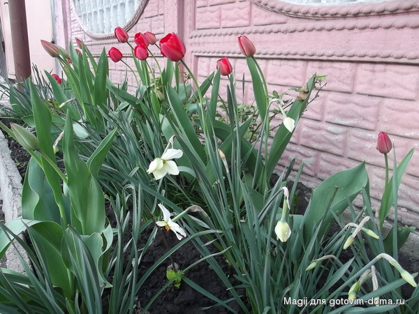 DSCF0600.jpg