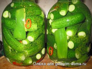 IMG_0355  огурцы.JPG