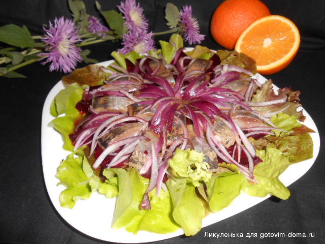 DSCN9716.JPG