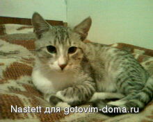 IMG0017A.jpg