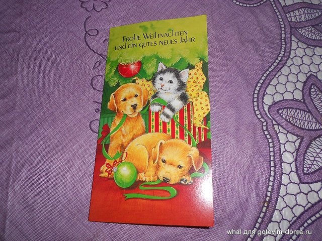 DSCN0262.JPG