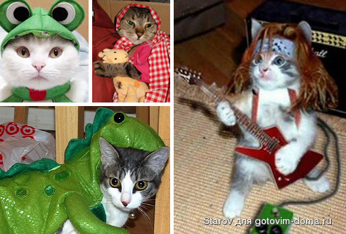 Pet-Cat-Costumes.jpg