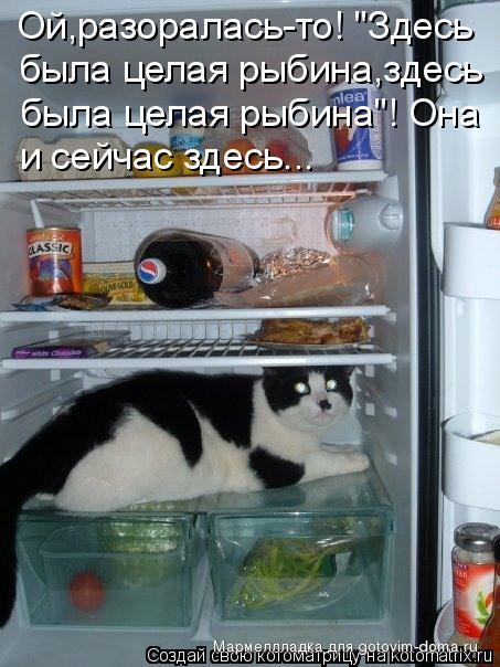 794939.jpg
