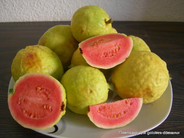 DSCN0296.JPG