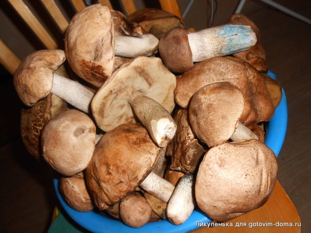 DSCN2159.jpg