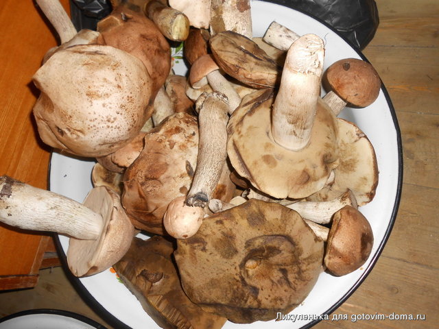 DSCN2161.jpg