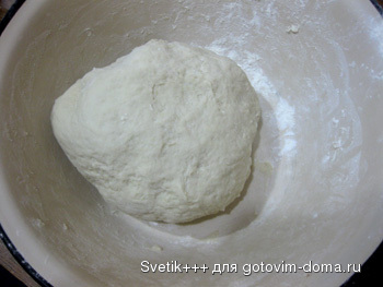 IMG_2777.jpg