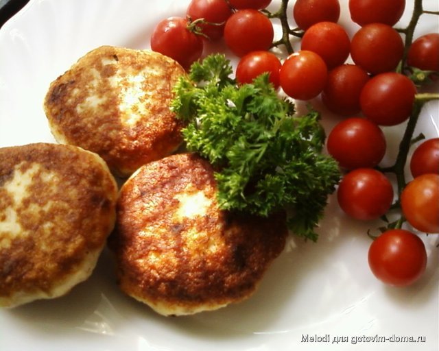 мускатные котлеты кормим правильно как приготовить. Смотреть фото мускатные котлеты кормим правильно как приготовить. Смотреть картинку мускатные котлеты кормим правильно как приготовить. Картинка про мускатные котлеты кормим правильно как приготовить. Фото мускатные котлеты кормим правильно как приготовить