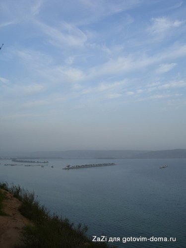 DSC02316_resize_resize_resize.JPG
