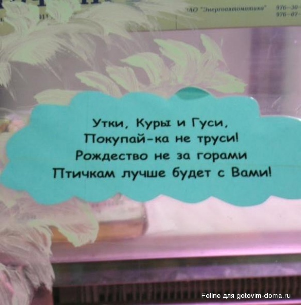 3526405-R3L8T8D-600-56711cd0c5.jpg
