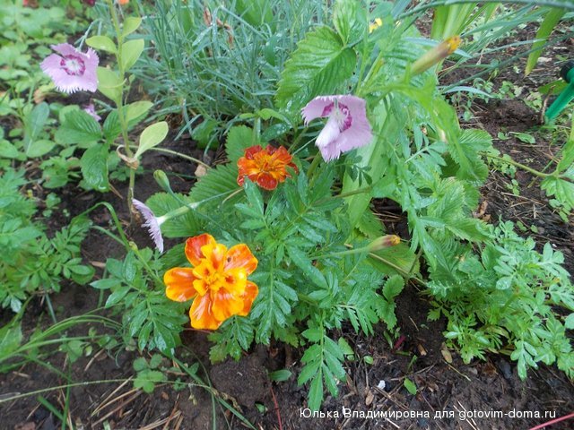 DSCN9074.jpg