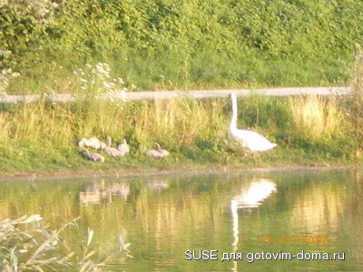 IMGP0848_изм-е размера.JPG