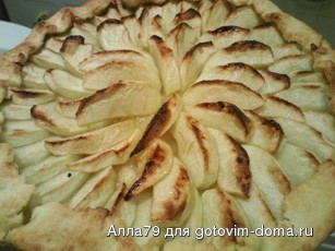 368.jpg