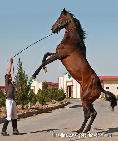 ashgabat-hippodrome.jpg