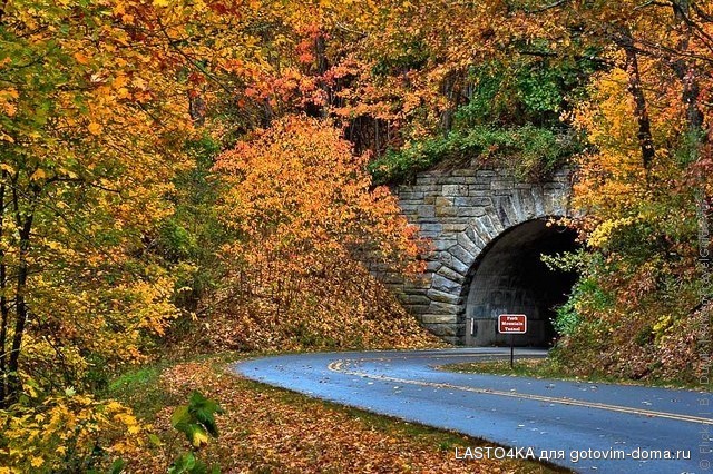 blue-ridge-parkway-08.jpg