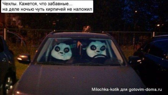чехлы.jpg