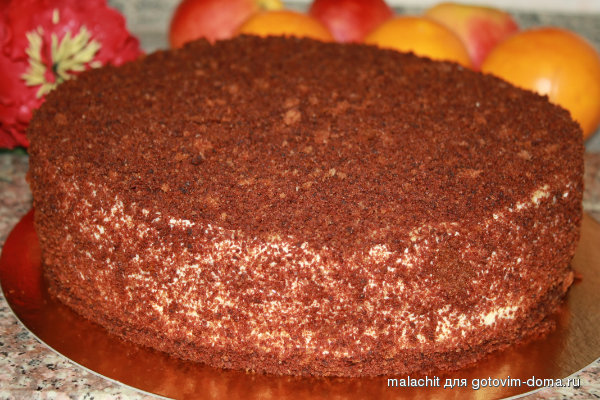 tort chjornyj rycar'.jpg