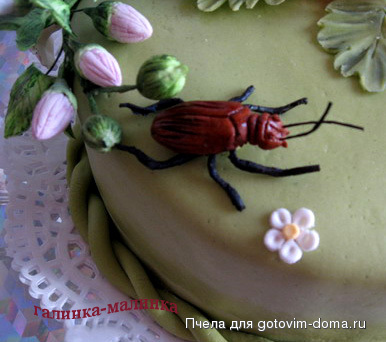 феечка  (жук).jpg