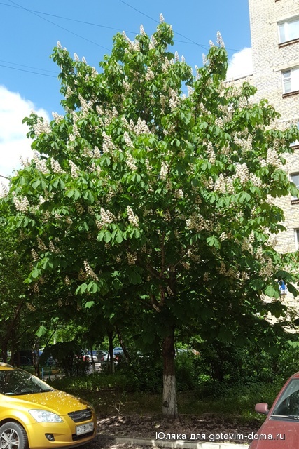 20160523_122944.jpg