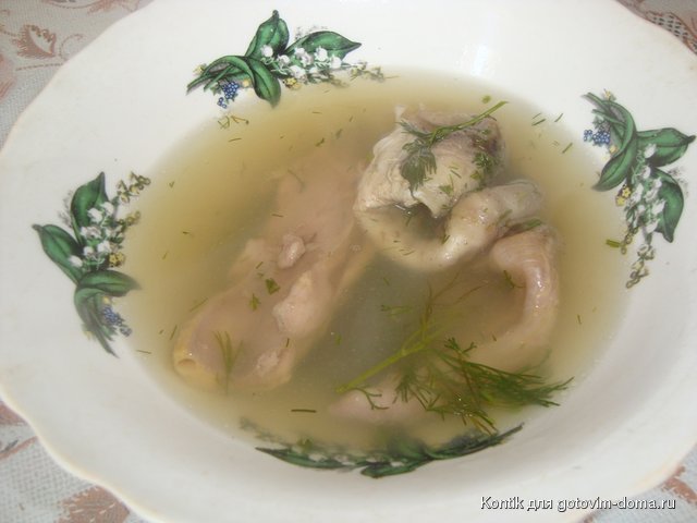 DSC01537.JPG