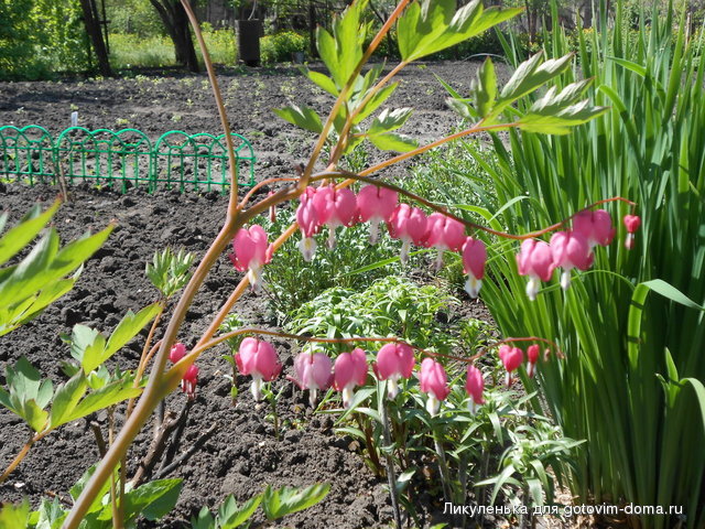 DSCN0635.JPG