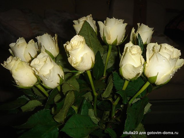 0_deec_3511eae0_XL.jpg