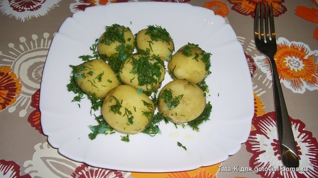 Молодая картошка.JPG