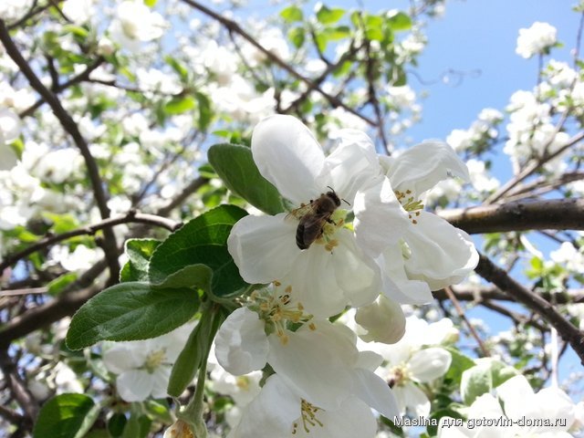20130501_132136.jpg
