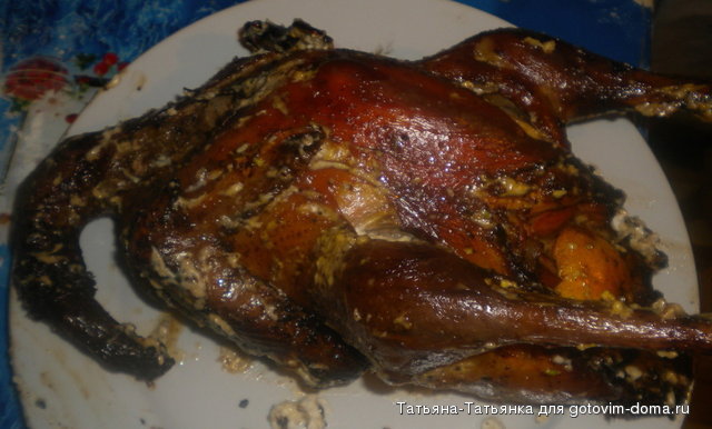 DSCN0738_01.jpg