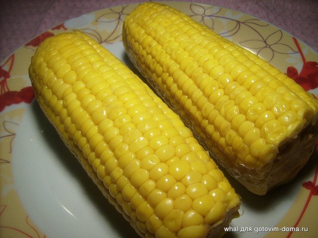 JD600013.JPG