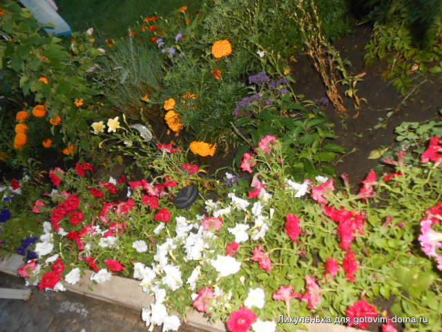 DSCN1190.JPG
