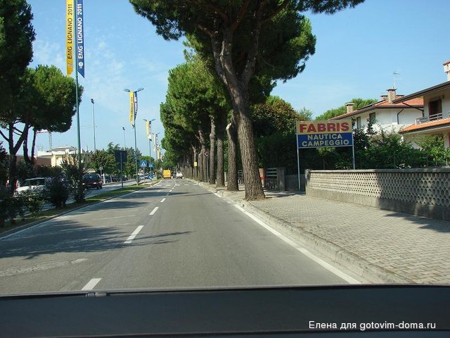 DSC00503.JPG