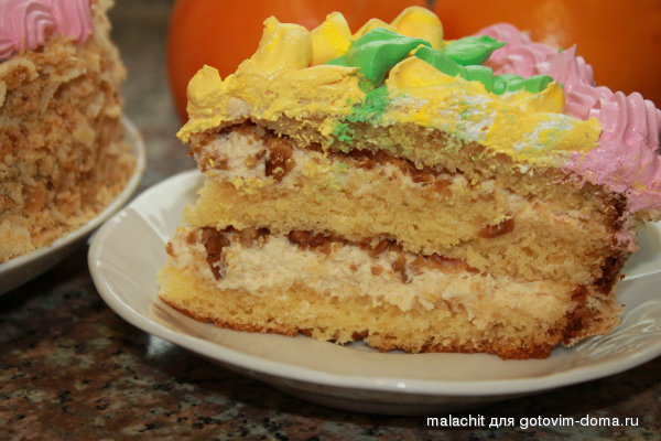 razrez torta zzheltkovo-mas biskvita.jpg