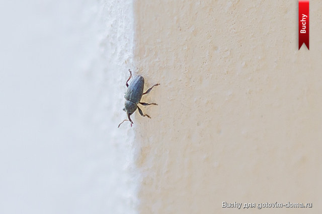 untitled_27.07.13_105.jpg