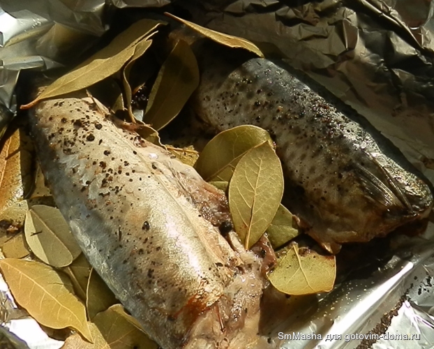 P7040100.JPG