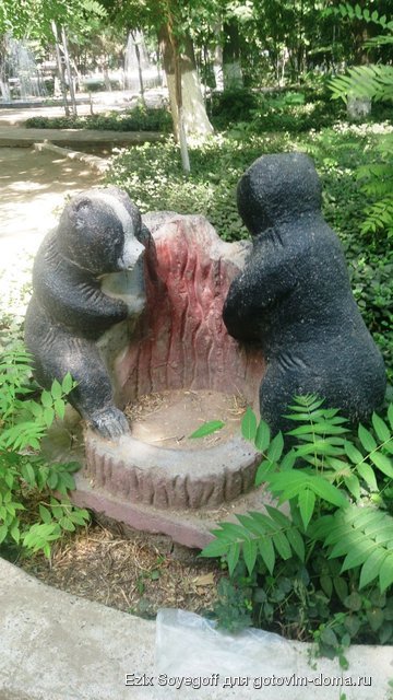 DSC_0015.JPG