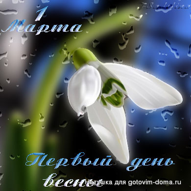 l.jpg