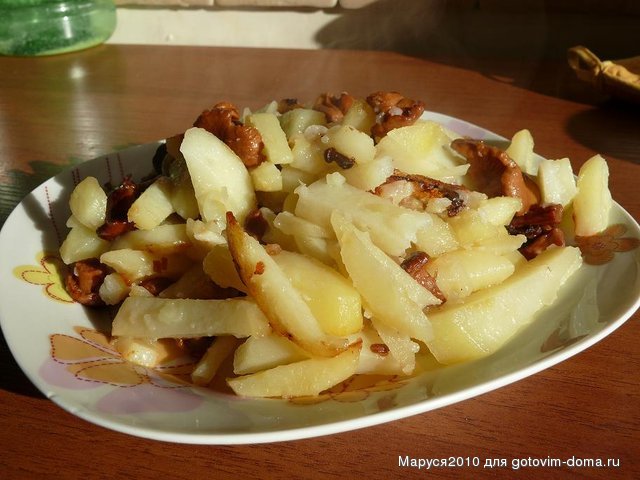 P1050788.JPG