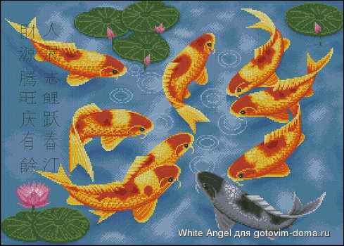Blessing Fishes.jpg