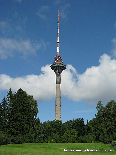 IMG_5087.JPG